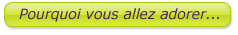 Bouton